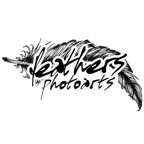 feathers photoarts